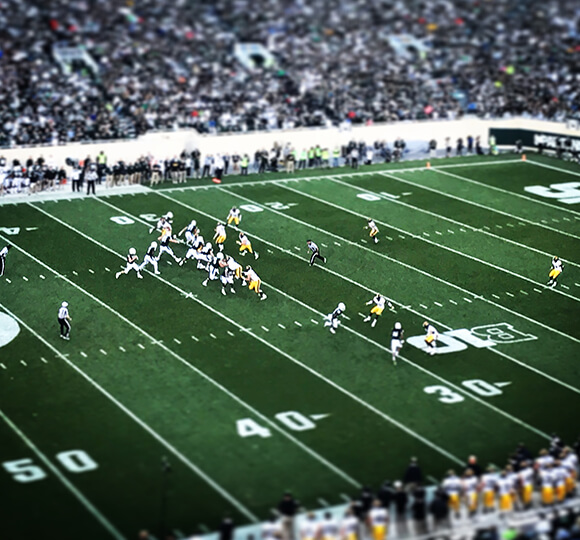 michigan state university