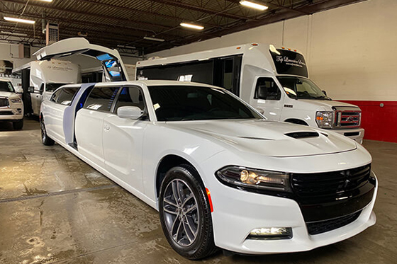 10 passenger limo