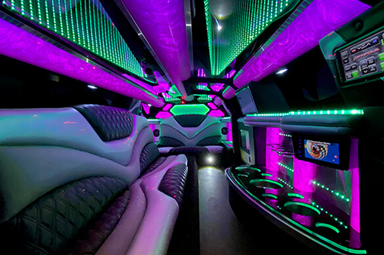 led lighting in limo
