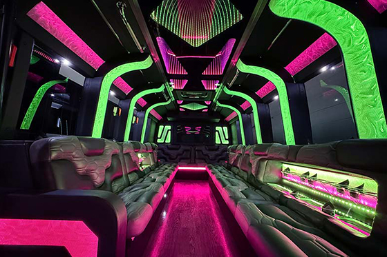 25 passenger party bus