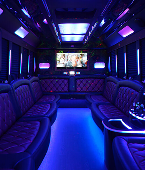 Lansing party bus